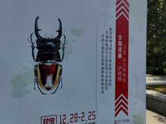 -张坝桂圆林公园