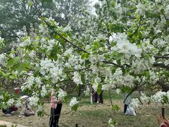 -海棠花溪(元大都城垣遗址公园)
