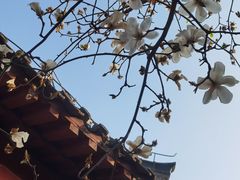 -长春观
