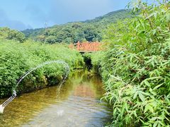 -广州市石门国家森林公园