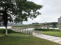 -松山湖梦幻百花洲