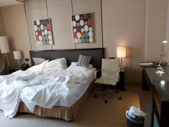 -大同云冈美高大酒店