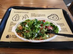 -油梨树 AVOCADO TREE(亮马桥店)