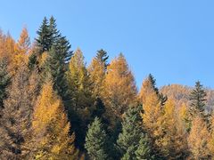 -芦芽山旅游度假区