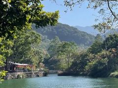 -羚羊峡古栈道森林公园