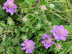 -白草畔自然风景区