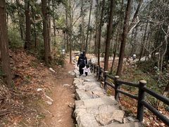 -冶父山国家森林公园