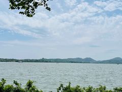 -西湖外事游船(花港观鱼码头)