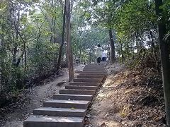 楼梯-火炉山森林公园