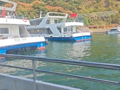 -千岛湖东南湖区