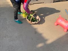 -小鱼草莓采摘园农家乐·小鱼餐厅