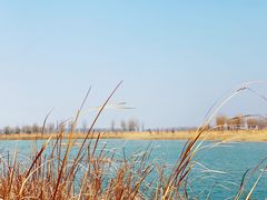 -野鸭湖国家湿地公园