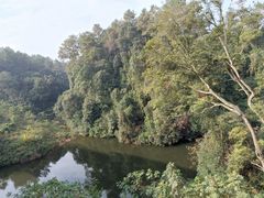 -保利石象湖景区