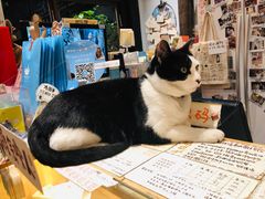 -猫的天空之城概念书店(杭州南宋御街店)