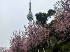 -龟山风景区-龟山电视塔