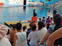 -北戴河圣蓝海洋公园