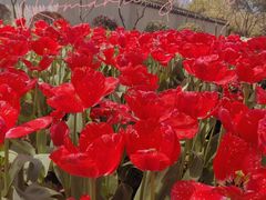 -无锡梅园公园