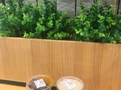 -夏树奶沫(杨柳青店)