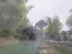 -崇阳三特浪口温泉