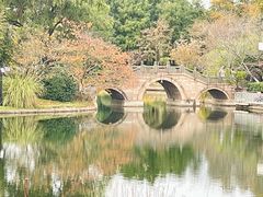 -上海共青森林公园