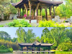 -陶然亭公园