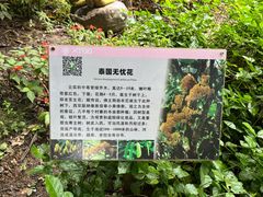 -中国科学院西双版纳热带植物园