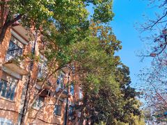 -上海山野camping·户外天幕烧烤·团建拓展营地