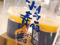 -春丽小马(济南恒隆广场店)