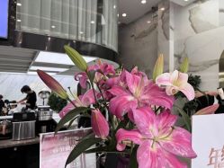 -苏奇发型·烫发染发