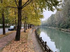-成都市活水公园