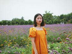 -紫颐香薰山谷景区