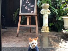 -肴约·花园式餐厅(湖里店)