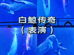 -大连圣亚海洋世界