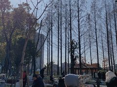-宁波儿童公园(鄞州区)