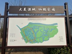 -盐城丹顶鹤湿地生态旅游区