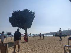 -青岛第一海水浴场