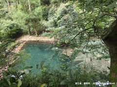 -雁荡山大龙湫景区