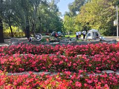 -黑龙江省森林植物园