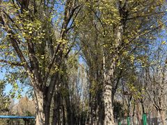 -回龙观体育文化公园