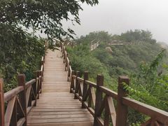 -大岭沟猕猴桃谷风景区