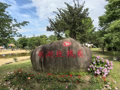 -鹅湖玫瑰文化园
