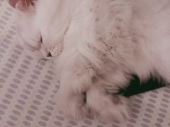 -鼎泰丰(当代商城店)