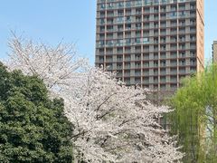 -堤角公园