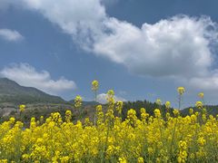-铜锣山矿山公园
