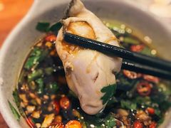 肥美的生蚝-千岛蚝高压锅生蚝·人参火锅(白云万达店)