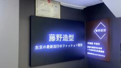 点击看大图 -藤野造型