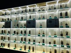 -广东中医药博物馆