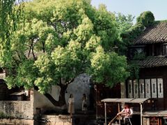 -乌镇西栅景区