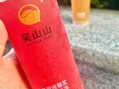 -吴山山·椰子酸奶(天河南店)
