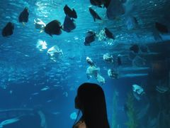 -锦艺城海洋馆